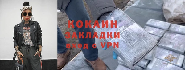 соль ск Алексин