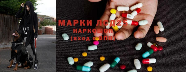гашик Алзамай