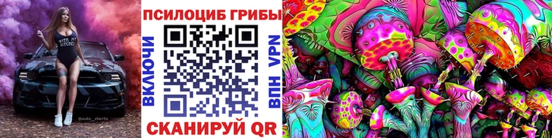 Псилоцибиновые грибы Cubensis  kraken вход  Шумиха 